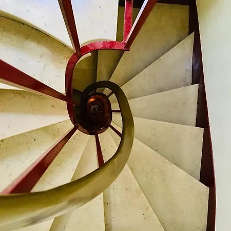 Studio Quartier Latin Jussieu דירה